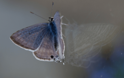 Buiten je Comfortzone ligt de groei en transformatie. 5 helpende stappen om in beweging te komen.
