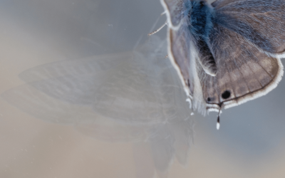 De fout die ik jarenlang maakte en een burnout veroorzaakte